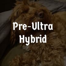 Hybrid Workout