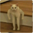 Luc´s Full Body