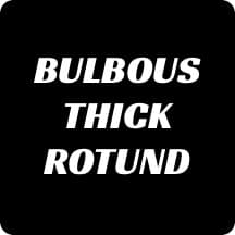 Becoming Bulbous - 
Pure Bodybuilding Program