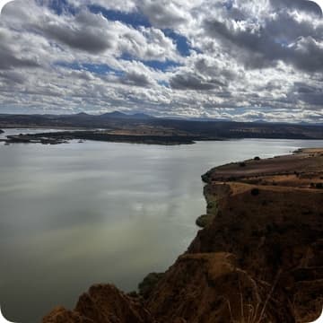 OSCAR’S CARDIO TRAINING