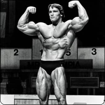 Arnold Split