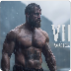 Gym Viking