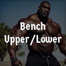 Bench Focus Upper Lower