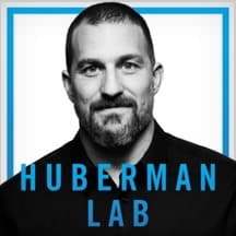 Andrew Huberman Muscle-Building Protocol