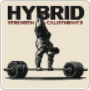 Hybrid Strength x Calisthenics Skill
