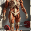 Jolmood PL hypertrophy - By Dr. Khaled OUANES
