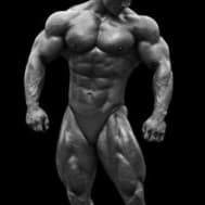 5 day bodybuilding