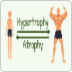 5 Day Hypertrophy Program