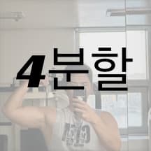 4분할 보디빌딩 루틴