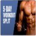 BP 5 Day Split