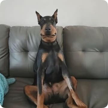 Leanjacked