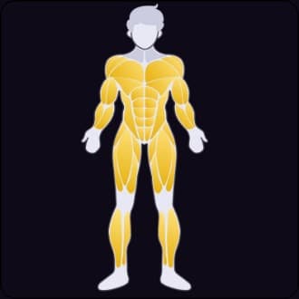 Naoufel's 4-day Science-Based Split