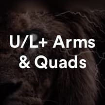AKLions Upper lower + Arms/Quads weakpoint routine