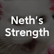 Neth's Strength Training Program
