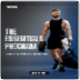 Jeff Nippard's Essentials - 4x/week
