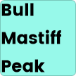Bullmastiff - Peak