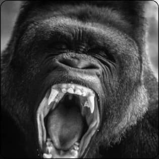 Loftermean Strength Matrix