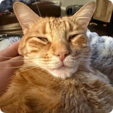 Jade’s Full Body Sculpt