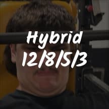 Hybrid
