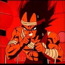 Saiyan Pride