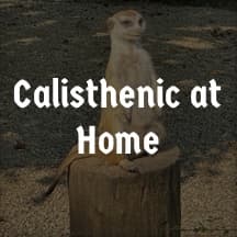 Normal strength training with focus on Calisthenic