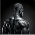Calisthenics Fullbody Mastery