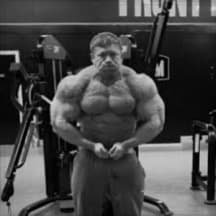 Experimental UPPER/LOWER-FULL BODY Split