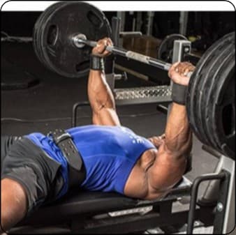 8 week bench press program for strength/endurance