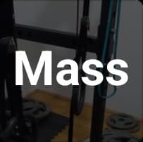 Upper/lower weights and calisthenics