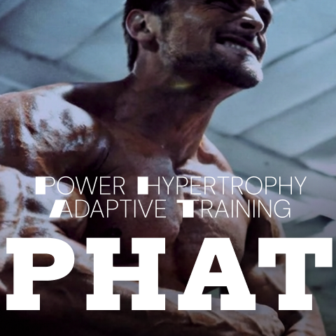 PHAT Workout Program