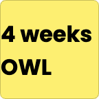 4 weeks -  Olympic weightlifting 