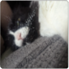 EXPRESS Progressive Weightlifting: Foundation