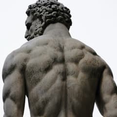 Classic Dumbbell 4 Day Upper/Lower