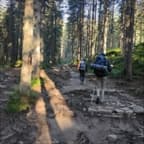 Heavy journey (Mentzer/Upper/Lower)