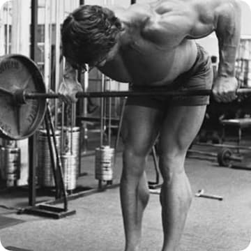 5 Day Upper Lower/Arnold