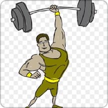 Upper Body Lower Body split