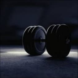 Full body 5 times a week-obliterator
Garage gym