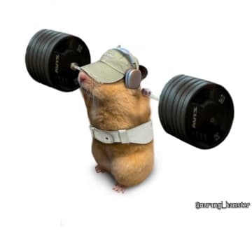 Cutting phase muscle maintenance