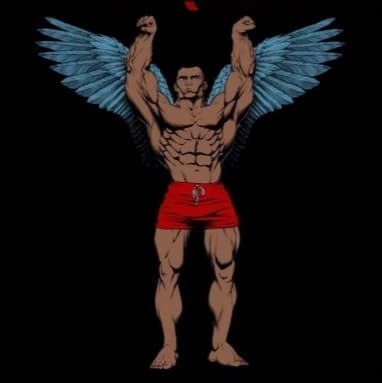 Gym Beginner Program