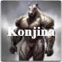 Konjina