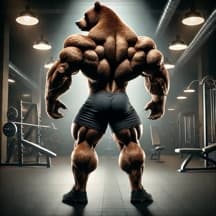 Hypertrophy: Upper-Legs-PPL