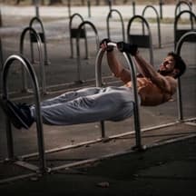 Calisthenics and weights PPL