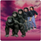 ANIMORPH: SILVERBACK METHOD 