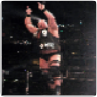 “ATTITUDE ERA" WWE PHYSIQUE