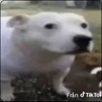 Mitt braiga program 2