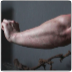 Forearm Gainerz
