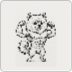 Full Body Jacked