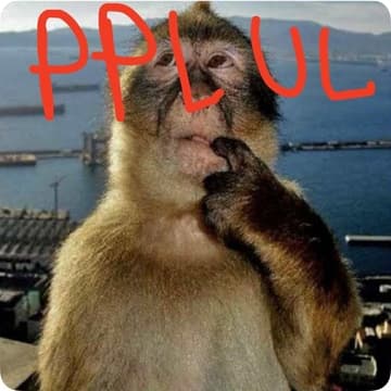 BEST PPLUL EVER 😝🤣💀🗿