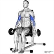 Block Periodization - AR: Assistance Phase 1