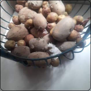 HIT Functional Powerbuilding